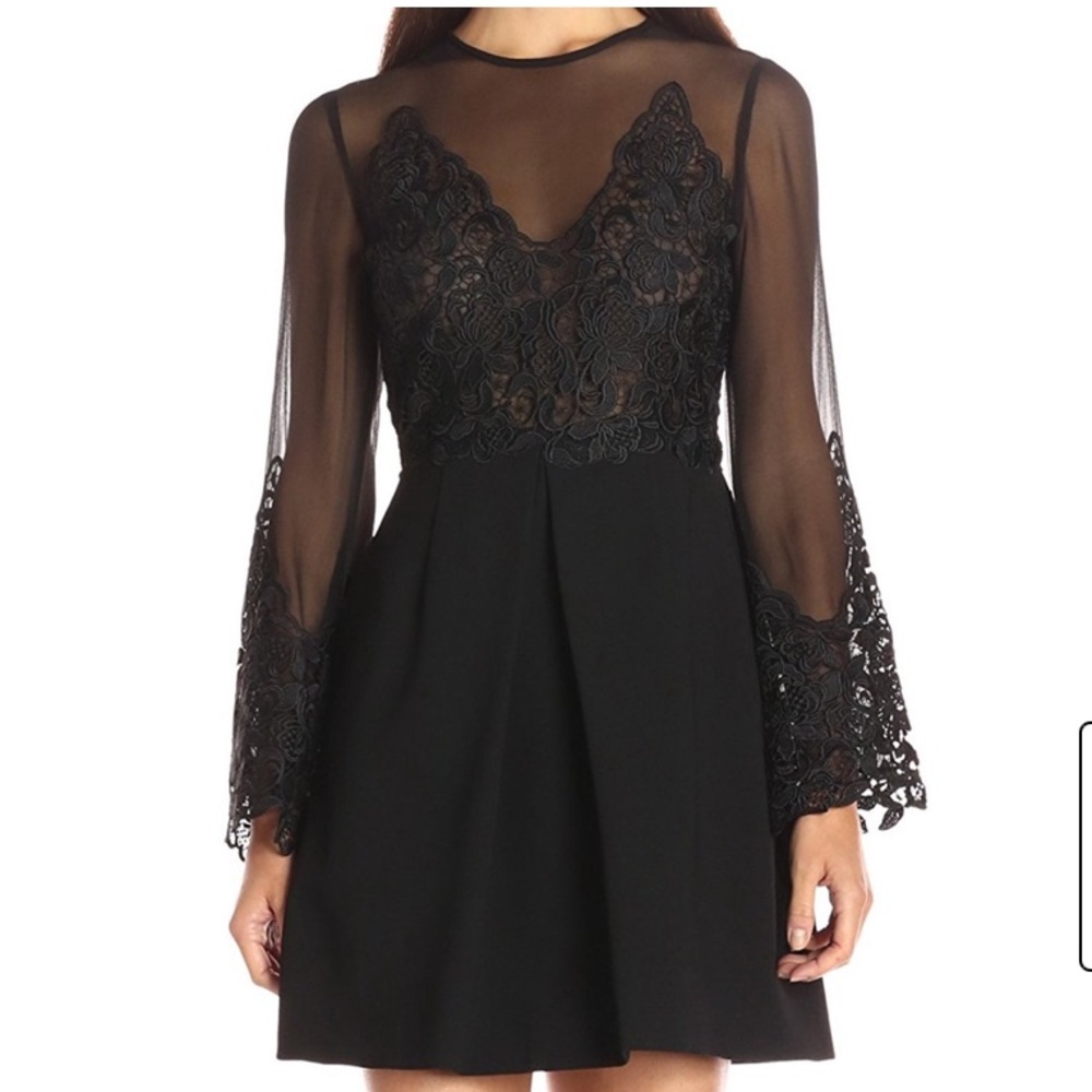 Jill Stuart black A-line crochet lace sheer dress